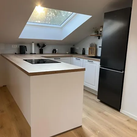 Charming Alpine With Sauna Apartment Kobarid