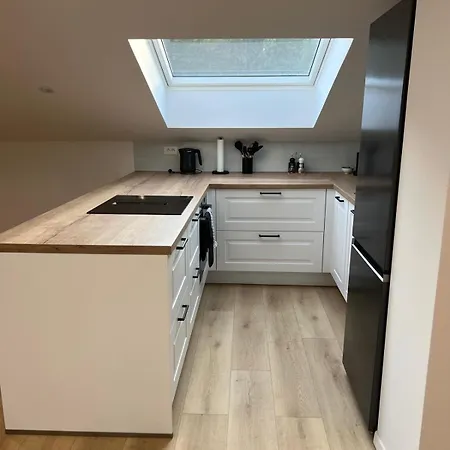 Apartment Charming Alpine With Sauna Kobarid